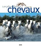 Les plus beaux chevaux