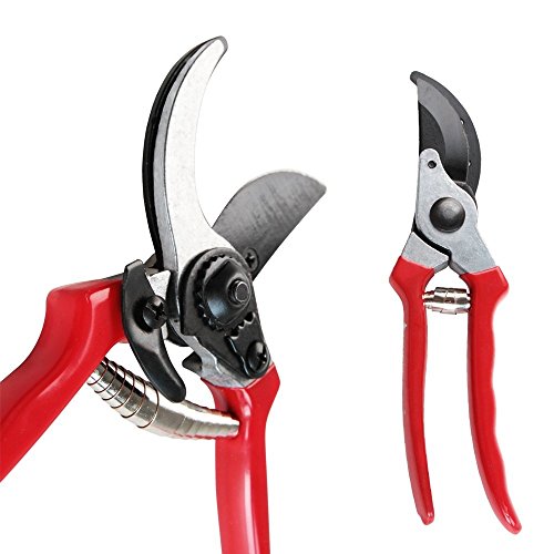 Preisvergleich Produktbild Gartenschere Schnittstärke ca. 21cm Rebschere Rebstockschere Rosenschere Blumenschere (so halt Felco No.2) by TARGARIAN