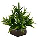 Thefancymart Artificial Bamboo leaves plant (size 7.5 inchs/ 20 cms) with wood Hexagun pot-0235-888 RS.345.00