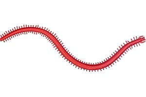 QualyQualy Pesce di Gomma Sandworms Esca per la Pesca Sportiva Esca di Gomma Sea - 30 Pezzi