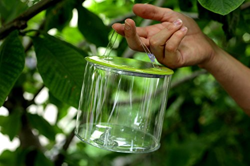 Luci Outdoor 2.0 Solar Laterne - 4