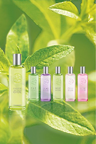 Yves Rocher – Eau de Toilette Zitronenverbene (100 ml): Entdecken Sie den Damen-Duft mit frischer Zitrus-Note - 3
