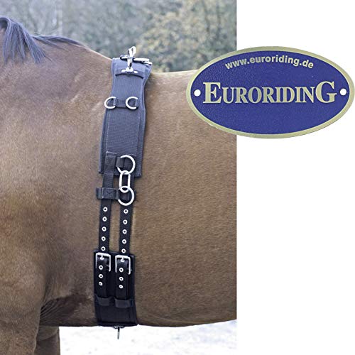 Preisvergleich Produktbild Euroriding Nylon Longiergurt - Euro-Club (13158)