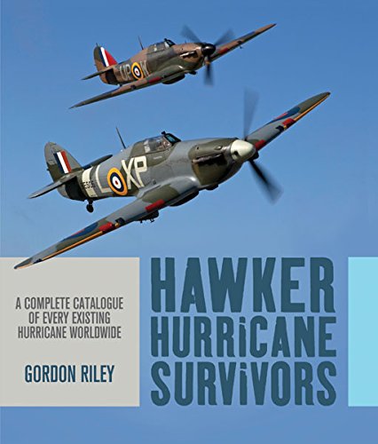 Livres Couvertures de Hawker Hurricane Survivors