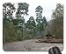 Produktbild Suntalekhola, a very calm & quiet place in the backdrop of glistening green forest & blue sky, silently calling those who have been long in City Pent Mouse Pad, Mousepad (Forests Mouse Pad)