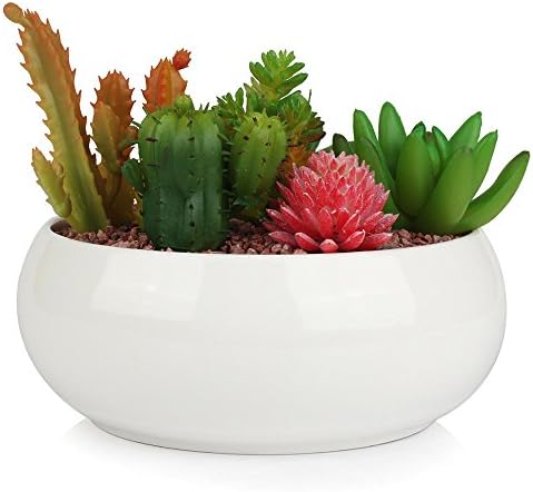Succulent Planter, Innoter Modern White Ceramic Cactus Flower Pot Plant Pot /Container/Planter