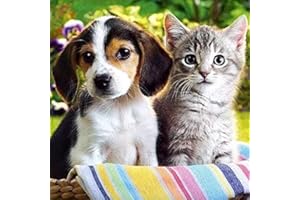 SIAMED Diamond Painting Set 2023 New Diamond, Peinture par numéros, Bricolage, Peinture au diamant, Images Arts Craft pour la décoration murale de la maison 30 x 30 cm (chien + chat)