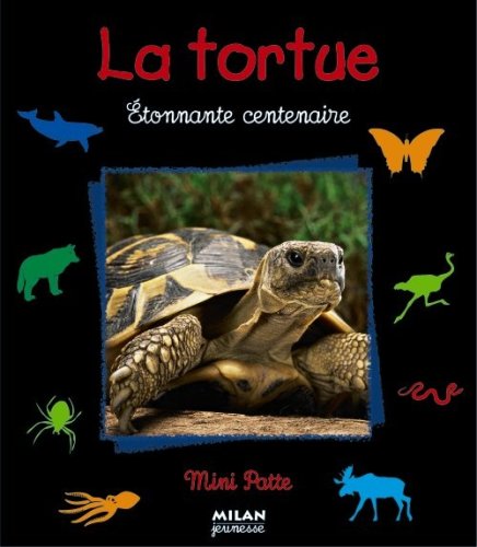 couverture de : La Tortue