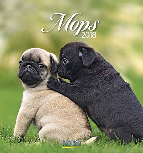 Mops 2018: aufstellbarer Postkartenkalender