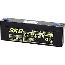 SKB Batteria Al Piombo Ricaricabile 12V 12Ah - Per Gruppi UPS, Emergenza, Alta Capacità - Foto 7