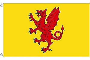 AZ FLAG - Flagge Grafschaft Somerset - 150x90 cm - Somerset Fahne 100% Polyester mit Messing-Ösen - 110g