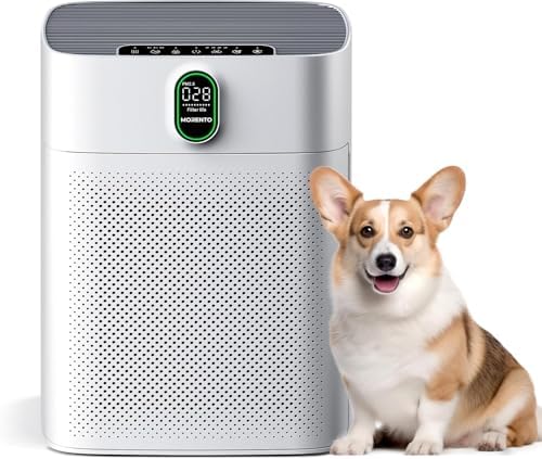 MORENTO Purificatore d'Aria Con Filtro HEPA, Filtro HEPA - Contro il dei Polveri Pollini Odori CADR 300m³/h Modalità Timer, Purificatore d'aria di Feedback di Qualità Dell'aria 1 Pack