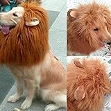 L: la mascota con una circunferencia del cuello de 80 cm puede usarla; M: la mascota con una circunferencia de cuello de dentro de 60 CM puede usarla; S: la mascota con una circunferencia de cuello de hasta 50 cm puede usarla