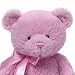 Gund My 1st Teddy (Small Pink)