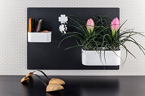 KalaMitica Magnetischer Kleiner Kasten, 2 Blumentöpfe Ø 6 cm, Weiß - 4