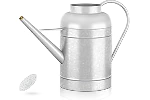 ‎LONGRUN LONGRUN 9L Gießkanne mit Rosensprinkler, verzinktes Eisen, Silber, für Garten- und Pflanzenbewässerung im Innen- und Außenbereich