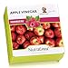 Produktbild NutraLinea® Apple Vinegar Apfelessig Drink, Himbeere