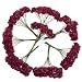 Produktbild 144 Stk. Mini Papier Rose Hochzeit Blumen für Handwerk Hochzeitsbevorzugungskasten (Rot)