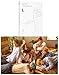 Produktbild 5th Mini Album BTS LOVE YOURSELF Her [L Ver.] BANGTAN BOYS CD + Official Poster + Photo Book + Mini Book + Photo Card + Gift