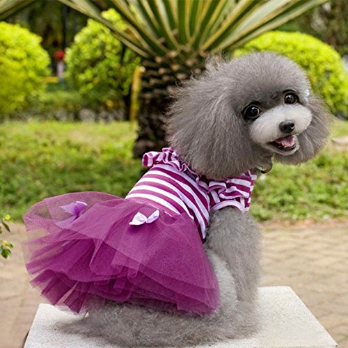 Bodhi2000-Pet-Puppy-Small-Dog-Princess-Tutu-Dress-Cat-Bow-Stripes-Skirt-Clothes