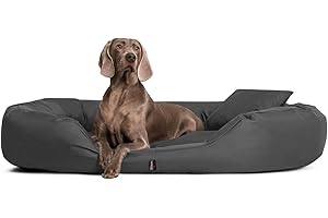 tierlando® Hundebett Sammy Komfort mit herausnehmbarer 4-Kammer-Matratze und hohem Rand aus Polyester 600D für große und schwere Hunde Größe: 140x105cm | Farbe: 02 Graphit