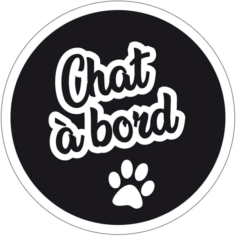 Sticker Voiture "Chien à Bord" Personnalisé - Carlin Avec Nom - 15 Cm Noir - Autocollant Extérieur Facile à Poser
