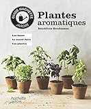 Plantes aromatiques