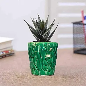 Lasaki Rustic Ceramic Pots for Table Top Indoor Plants Planters Flower pots Outdoor Succulent Pot (Color:Green)(D:15 cm, H:15 cm)