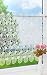 Produktbild Plauener Spitze Scheibengardine Wolken (Bx H) 80cm * 60cm weiß