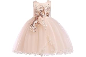 LENEFU Baby Girl Princess Bridesmaid Pageant Gown Birthday Party Wedding Dress Sleeveless Party Dresses Girl Clothes