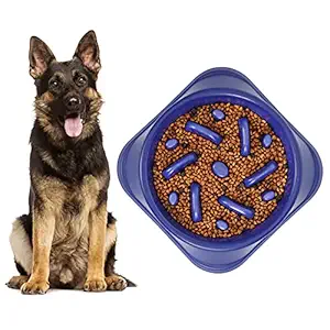 KASBAH Large Dog Bowl, Puzzle Slow Feeder Dog Bowl for Large Dog Interactive Bloat Stop Anti Choking Dog Food Bowl