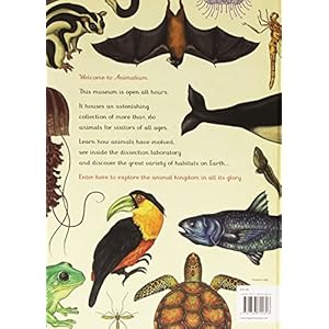 Animalium: Welcome to the Museum