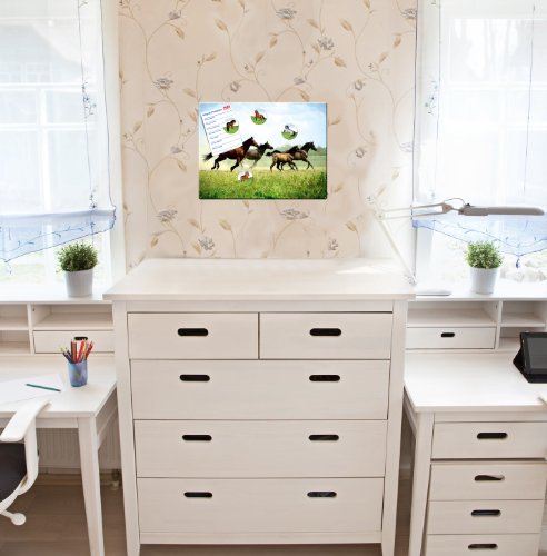 Pferde – Lebhafte Design Metall Magnettafel 40×30 cm – Pinnwand Memoboard mit Motiv: Pferde im Galopp – inkl. 4 Magnete mit Motiven von Pferden auf der Wiese für Magnetwand – Original Magnetpinnwand GUMA Magneticum - 2