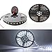 Produktbild Grandview (16.4 ft/5 M Weiß LED Strip-Light flexibel 300 Einheiten 5050 LEDs Wasserdicht 24 V DC Licht Streifen für Auto Stage Party Weihnachten Garten Schrank Heimwerker Haushalt Dekoration