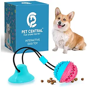 Pet Central Interactive Dog Toys ? Suction Cup Dog Chew Toy for Aggressive Chewers ? Treat Dispensing Squeaky Dog Toy for Stimulation and Self-Playing ? Tug of War Rope with Teeth Cleaning Ball