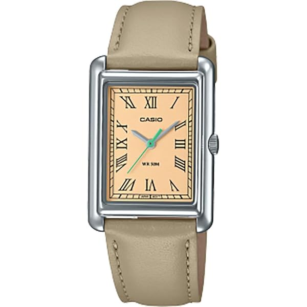 Orologio Standard - Timex TW2V44200
