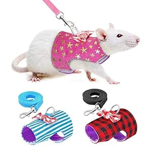 YiniKape Raya, pequeño al Aire Libre Acepta arnés de Chaleco y la Correa Conjunto con la Correa del Pecho del Bowknot Linda decoración para arnés Rata Ferret Ardilla hámster Accesorio de la Ropa