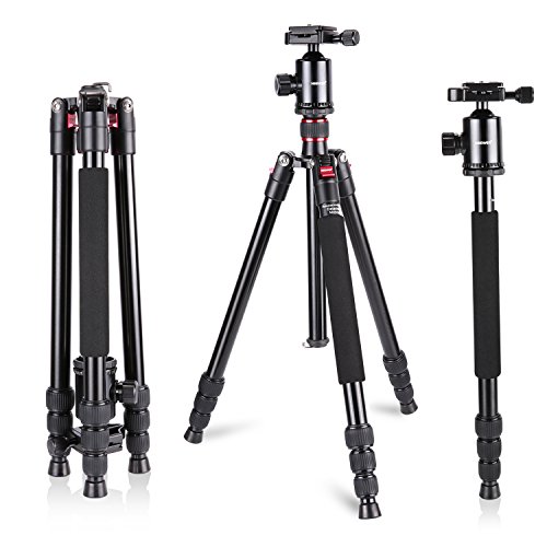 Neewer Aluminium Legierung 162 Zentimeter Kamera Reisestativ Einbeinstativ mit 360-Grad-Kugelkopf, 1/4 Zoll Schnellwechselplatte Teller und Tasche für DSLR-Kamera Video Camcorder bis zu 12 Kilogramm Neewer Aluminium Legierung 162 Zentimeter Kamera Reisestativ Einbeinstativ mit 360-Grad-Kugelkopf, 1/4 Zoll Schnellwechselplatte Teller und Tasche für DSLR-Kamera Video Camcorder bis zu 12 Kilogramm