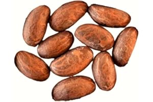 AL BADIL Petit Cola frais sachet de 10