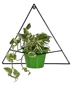 Green Gardenia Iron Green Triangle Shape Wall Bracket with Bucket Planter/Wall Planter-Green