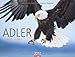 Adler 2013 / Eagles 2013 / Aigles 2013 by 