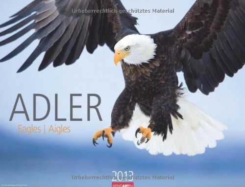 Adler 2013 / Eagles 2013 / Aigles 2013