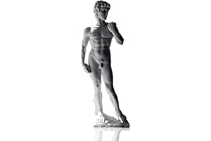CBAM Statua Polvere di Marmo Carrara David Michelangelo Powder Marble Sculpture H17cm