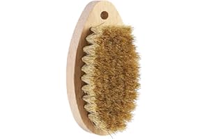 IKOPFLN 1 Pièce Brosse à légumes en Bois, 11 cm, Brosse à Champignons, Poils naturels de Haute qualité, pour Pommes de champignon, Carottes, légumes