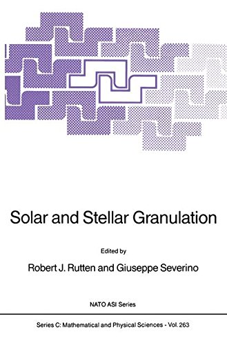 Solar and Stellar Granulation: 263 (NATO Science Series C)