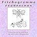 Produktbild Trichogramma evanescens Schlupfwespen Nützlinge für z.B. Karten züchten PDF auf CD