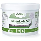 AniForte Teufelskralle Gelenk Aktiv Pulver 250 g für Hunde und Katzen, Neue Bewegungs-Freude in der Natur, Ohne Zusatzstoffe