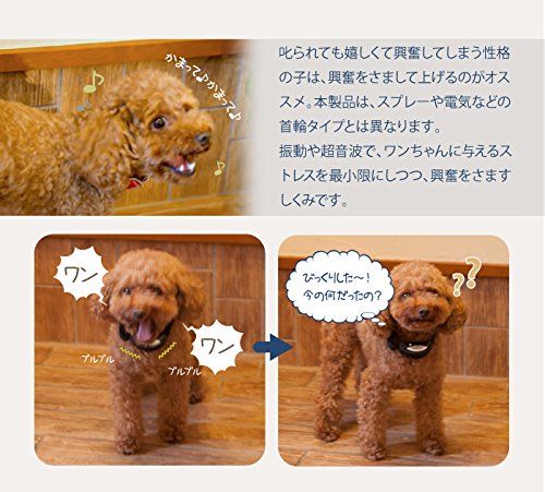 Eyenimal-Bark-Control-Soft