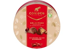 CÔTE D'OR - Coffret Collection de Fêtes - Assortiments de 20 Chocolats au Lait - 2 Recettes : Mini Bouchée Lait et Mini Roc Lait - Boîte Chocolat Noël à Offrir - Idée Cadeau Noël - Boîte de 187 g