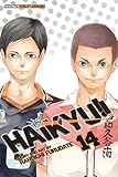 Haikyu!!, Vol. 14 by